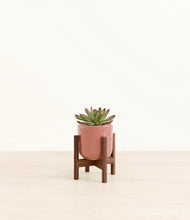 Load image into Gallery viewer, Hammered Rose Pink stand:walnut