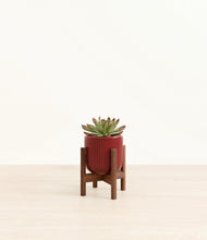 Load image into Gallery viewer, Striped Cherry Red stand:walnut