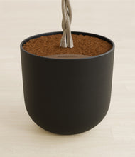 Load image into Gallery viewer, Stone Black stand:all