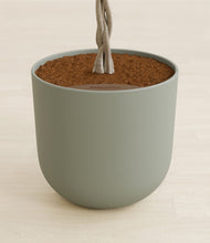 Load image into Gallery viewer, Sage Green stand:all