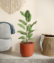 Load image into Gallery viewer, Earth Red