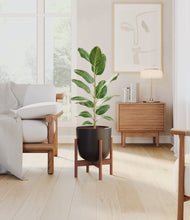 Load image into Gallery viewer, Stone Black stand:walnut