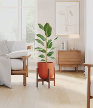 Load image into Gallery viewer, Earth Red stand:walnut