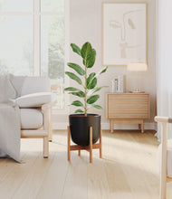 Load image into Gallery viewer, Stone Black stand:bamboo