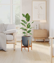 Load image into Gallery viewer, Iron Gray stand:bamboo