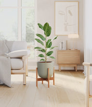 Load image into Gallery viewer, Sage Green stand:bamboo