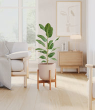 Load image into Gallery viewer, Sandy Pink stand:bamboo