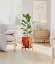 Load image into Gallery viewer, Earth Red stand:bamboo