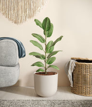 Load image into Gallery viewer, Natural Bamboo