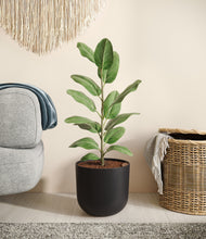 Load image into Gallery viewer, Stone Black