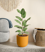 Load image into Gallery viewer, Sunset Orange