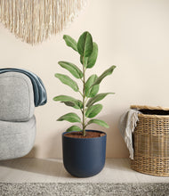 Load image into Gallery viewer, -