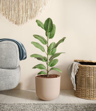 Load image into Gallery viewer, Sandy Pink