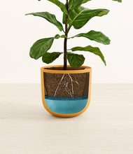 Load image into Gallery viewer, Sunset Orange