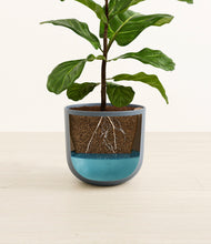 Load image into Gallery viewer, Iron Gray