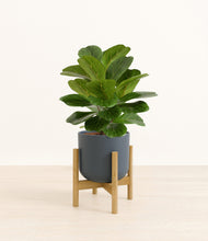 Load image into Gallery viewer, Iron Gray stand:bamboo