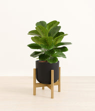 Load image into Gallery viewer, Stone Black stand:bamboo