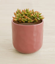 Load image into Gallery viewer, Hammered Rose Pink stand:all