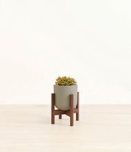 Load image into Gallery viewer, Sage Green stand:walnut