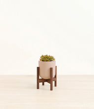 Load image into Gallery viewer, Sandy Pink stand:walnut
