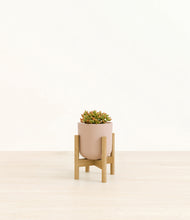 Load image into Gallery viewer, Sandy Pink stand:bamboo