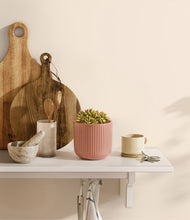 Load image into Gallery viewer, Striped Rose Pink