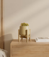 Load image into Gallery viewer, Almond Green stand:bamboo