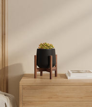 Load image into Gallery viewer, Black stand:walnut