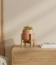 Load image into Gallery viewer, Calm Rose stand:bamboo