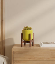Load image into Gallery viewer, Key Lime Yellow stand:walnut