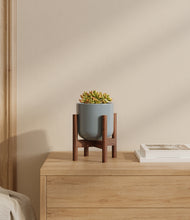 Load image into Gallery viewer, Misty Blue stand:walnut