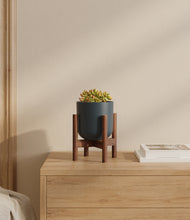 Load image into Gallery viewer, Iron Gray stand:walnut