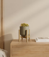 Load image into Gallery viewer, Sage Green stand:bamboo