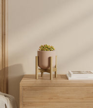 Load image into Gallery viewer, Sandy Pink stand:bamboo