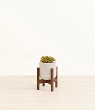 Load image into Gallery viewer, Snowdrift White stand:walnut