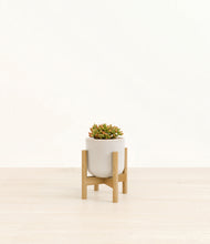 Load image into Gallery viewer, Snowdrift White stand:bamboo