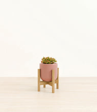 Load image into Gallery viewer, Striped Rose Pink stand:bamboo