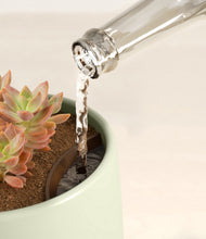 Load image into Gallery viewer, Turquoise stand:all