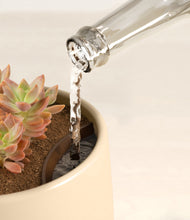 Load image into Gallery viewer, Almond Green stand:all