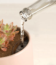 Load image into Gallery viewer, Gentle Pink stand:all