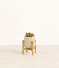 Load image into Gallery viewer, Almond Green stand:bamboo