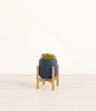 Load image into Gallery viewer, Deep Navy stand:bamboo