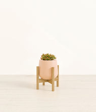 Load image into Gallery viewer, Gentle Pink stand:bamboo