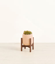 Load image into Gallery viewer, Gentle Pink stand:walnut