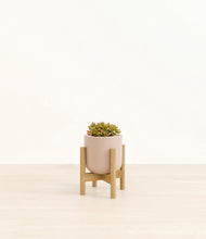 Load image into Gallery viewer, Sandy Pink stand:bamboo