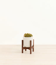 Load image into Gallery viewer, Cotton White stand:walnut