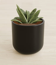 Load image into Gallery viewer, Stone Black stand:all