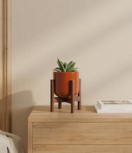 Load image into Gallery viewer, Glossy Red stand:walnut