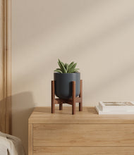 Load image into Gallery viewer, Iron Gray stand:walnut