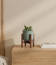 Load image into Gallery viewer, Reactive Aqua stand:walnut